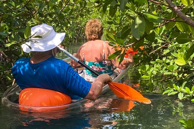 Clear Kayak Tour - Is the $120 price worth it?