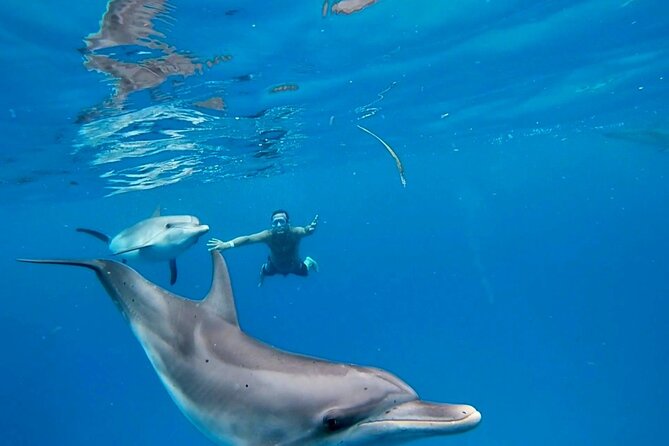 Create-Your-Own Luxury Adventure in Bimini with photographer - Key Points to Know Before You Book