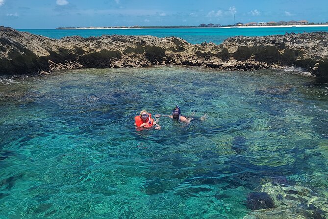 Create-Your-Own Luxury Adventure in Bimini with photographer - Searching for Bottlenose and Spotted Dolphins