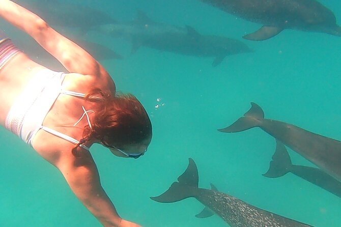 Create-Your-Own Luxury Adventure in Bimini with photographer - Choosing Your Own Four-Hour Route