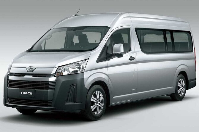 Custom Family and Small Group Transfers for Comfortable Journeys - Who will get the most from this service?