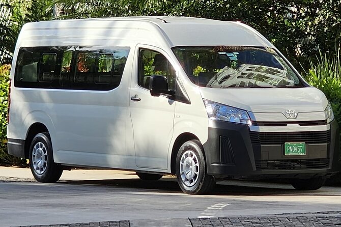Custom Family and Small Group Transfers for Comfortable Journeys - Riding in the 10-passenger minivan