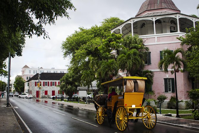 Dilly Dally Walking Tour of Nassau Attractions - National Art Gallery: a welcome change of pace