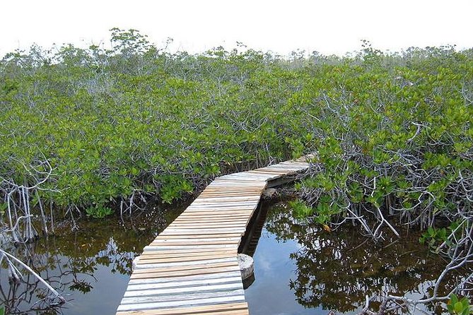East End Private Day Trip Experience Tour - Starting at Freeport harbour with local tastes