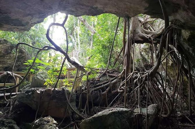 East End Private Day Trip Experience Tour - Taino Beach, conch salad, and a public park