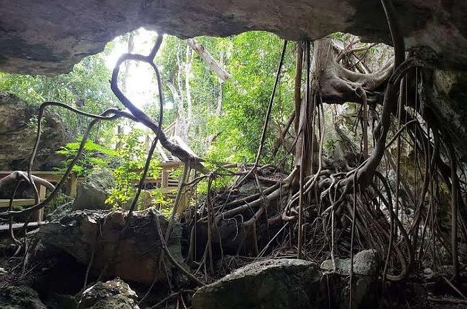 East End Private Day Trip Experience Tour - Lucayan National Park and Gold Rock Beach
