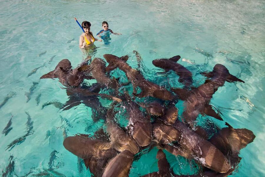 Exclusive Fly-In Premium Beach Experience from Nassau - Arriving at Staniel Cay with the boat waiting