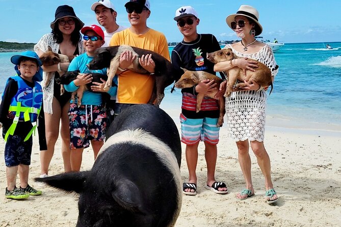 Exotic half day private charters to Rose Island, Pigs and Turtles - Snorkeling with equipment already provided