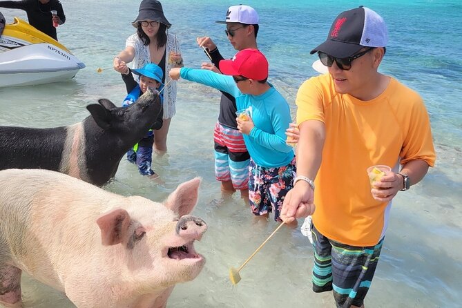 Exotic half day private charters to Rose Island, Pigs and Turtles - Snacks, water, and Bahama Mamas