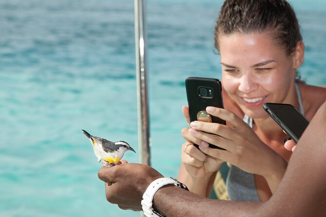 Experience The Exumas and the World Famous Swimming Pigs - Compass Cay and a close look at nurse sharks