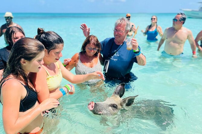 Exuma Day Away - Original Swimming Pigs Excursion - The real price of reaching Pig Beach from Nassau