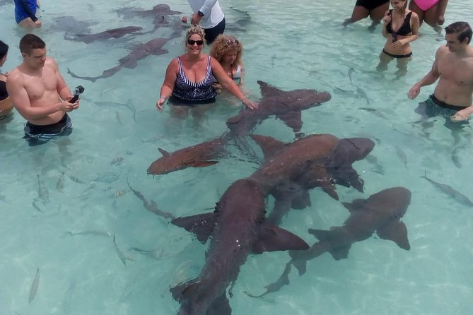Exuma Day Away - Original Swimming Pigs Excursion - Sandbars, blue water, and the Exuma Cays