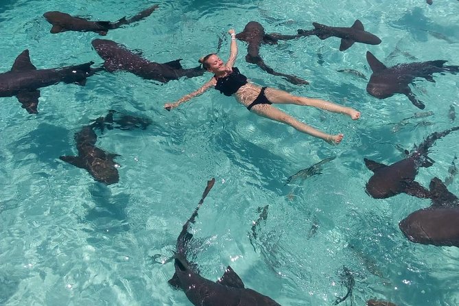 Exuma Day Away - Original Swimming Pigs Excursion - The Pablo Escobar plane wreck from the water
