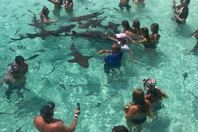 Exuma Day Away - Original Swimming Pigs Excursion - Lunch, drinks, and the local pause at Black Point