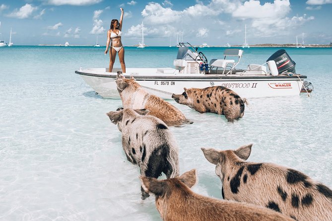 Exuma Elite Escape: Luxury Fly-In Pig Beach Adventure - 7 Stops - Why the flight changes the Exuma day