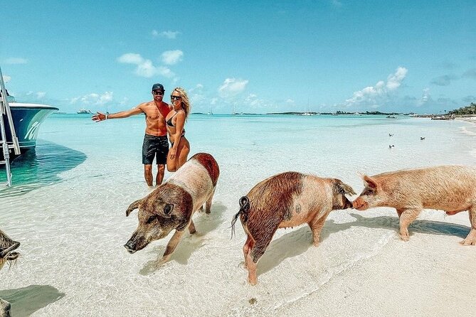 Exuma Full Day Swimming Pigs Group Boat Tour - Key points to know before you book