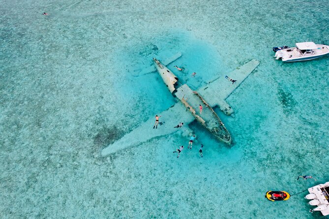 Exuma Full Day Swimming Pigs Group Boat Tour - Pig Beach and the famous swimming pigs