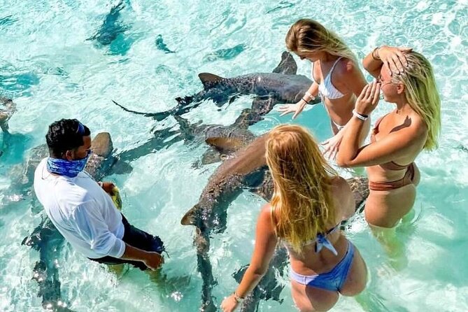 Exuma Full Day Swimming Pigs Group Boat Tour - Allen Cay and the ancient rock iguanas