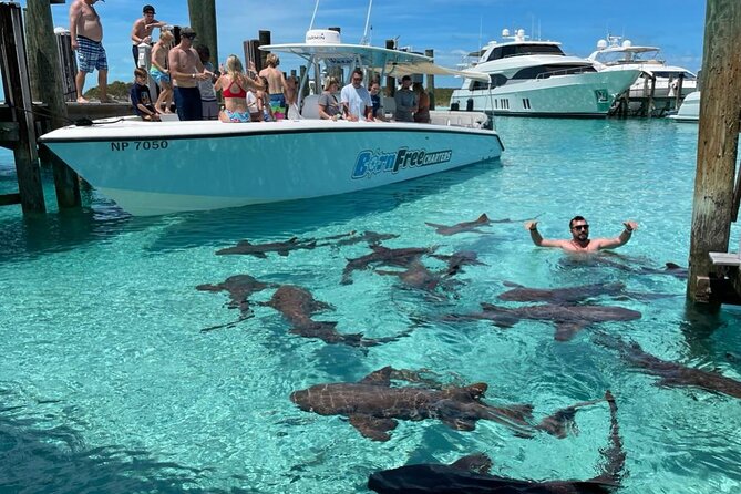 Exuma Island Hopping Swimming Pigs Tour with Lunch from Nassau - The day at a glance