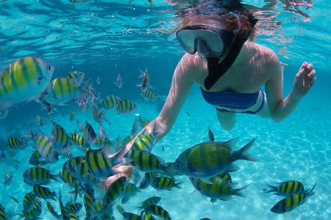 Freeport Snorkeling Peterson Cay National Park and Hotel Day Pass - Key points to know before you book