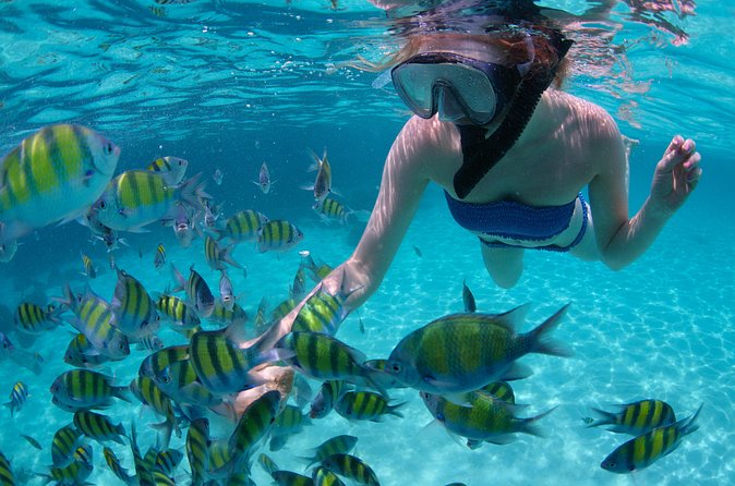 Freeport Snorkeling Peterson Cay National Park and Hotel Day Pass - Is the $148 price good value?