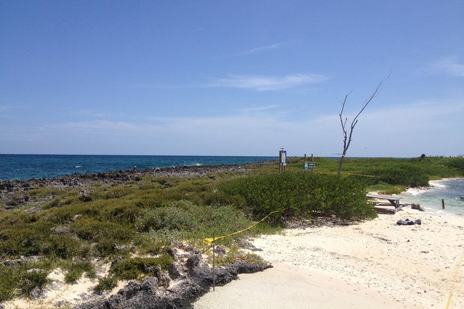 Freeport Snorkeling Peterson Cay National Park and Hotel Day Pass - Practical details that affect your day