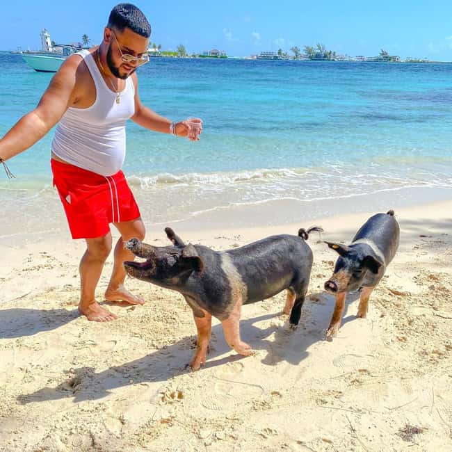 From Nassau: Swim with Pigs Safari - Key points at a glance
