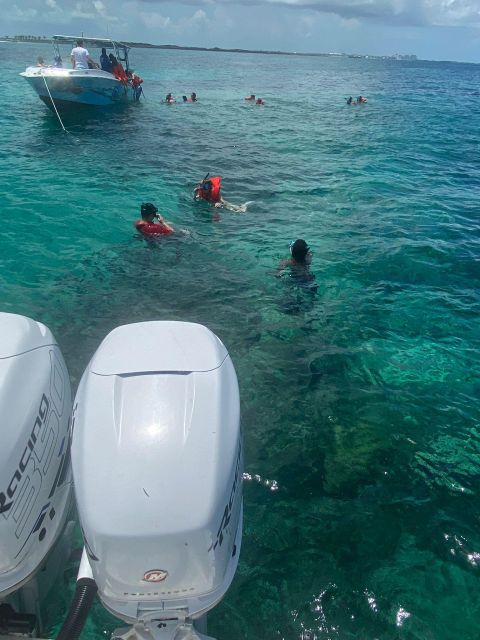 From Nassau: Swim with Pigs Safari - Pig Beach gives you the headline moment