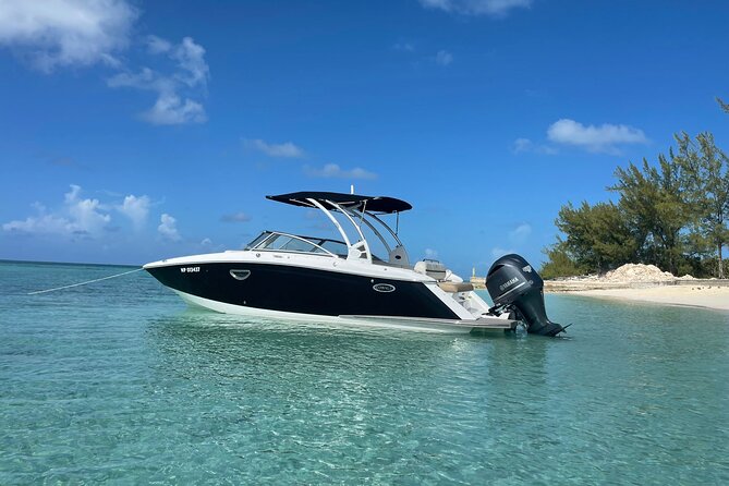 Full-Day Luxury Private Rose Island Pigs and Turtles Excursion - What the private boat adds to the day