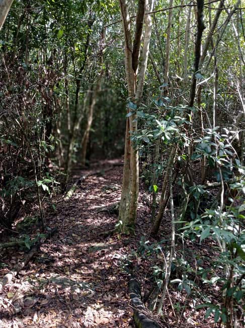 Guided Primeval Nature Walk Tour - Who will enjoy this best