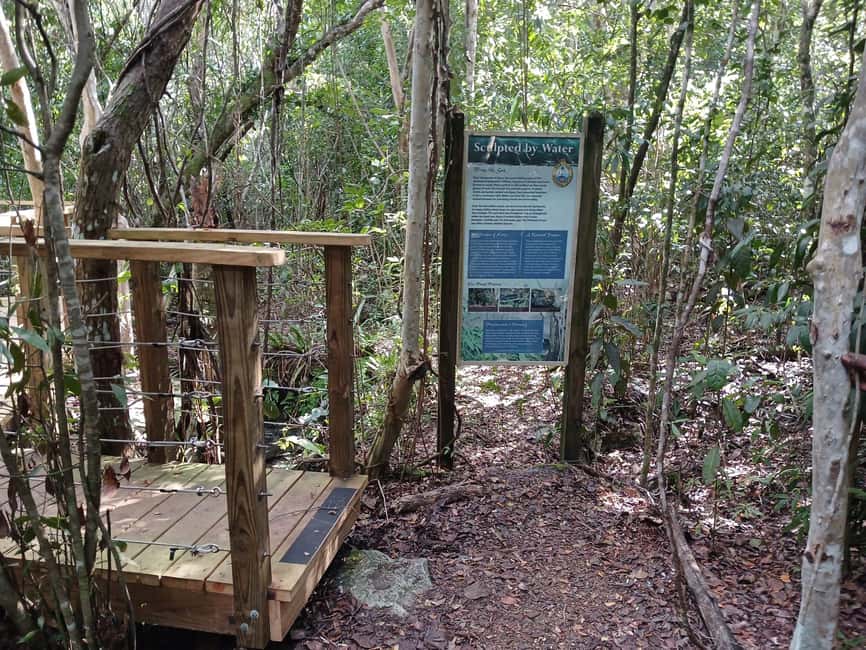 Guided Primeval Nature Walk Tour - Why this Nassau tour is different