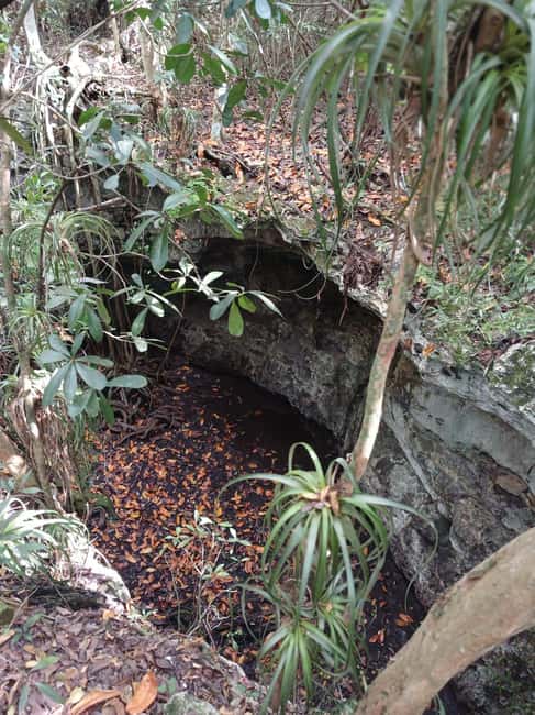 Guided Primeval Nature Walk Tour - Arawak Cay and the conch finish