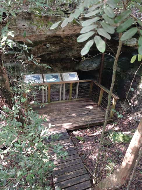 Guided Primeval Nature Walk Tour - What the $140 price really buys you