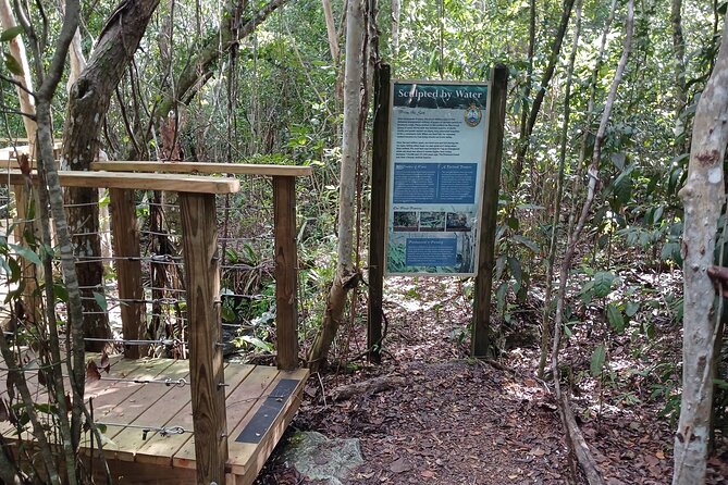 Guided Primeval Nature Walk Tour in Primeval Forest National Park - Why this Nassau tour is different from a standard shore excursion