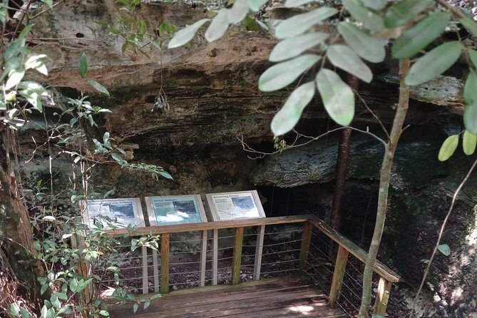 Guided Primeval Nature Walk Tour in Primeval Forest National Park - What the guide adds to the day