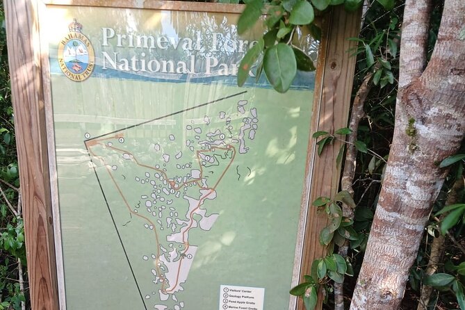 Guided Primeval Nature Walk Tour in Primeval Forest National Park - Starting at Nassau’s Cruise Port
