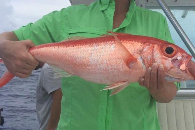Half day Deep sea/light tackle fishing charters - What the Nassau charter is really offering