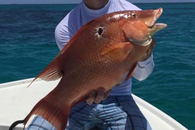Half day Deep sea/light tackle fishing charters - What comes with the $920 private price