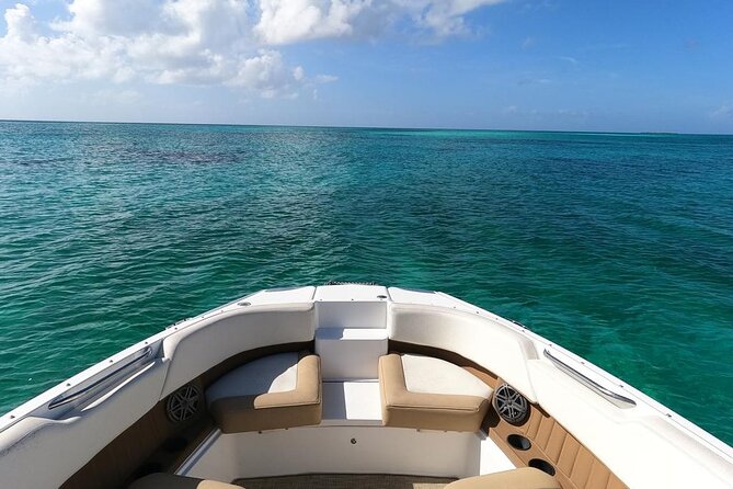Half-Day Luxury Private Rose Island Pigs and Turtles Excursion - Rose Island gives this private boat trip its purpose