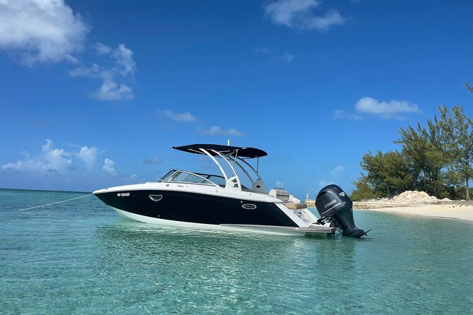 Half-Day Luxury Private Rose Island Pigs and Turtles Excursion - Snorkeling near Rainbow Reef can be the best surprise