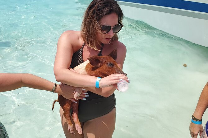 HALF DAY Swiming Pigs and Sharks Tour (Nassau to Exuma by Plane) - Flying from Nassau to Staniel Cay