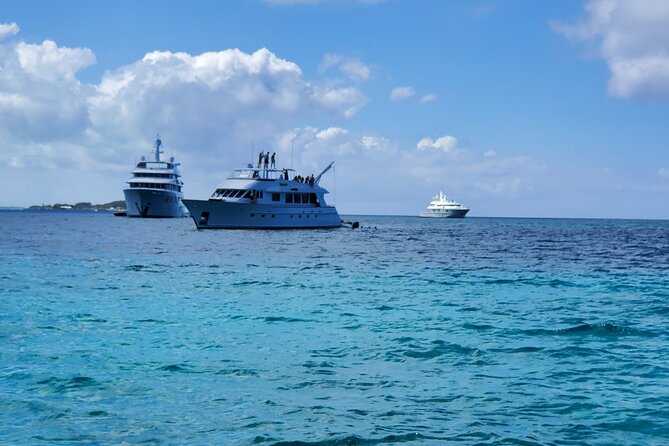 HALF DAY Swiming Pigs and Sharks Tour (Nassau to Exuma by Plane) - Lunch at Black Point on Great Exuma