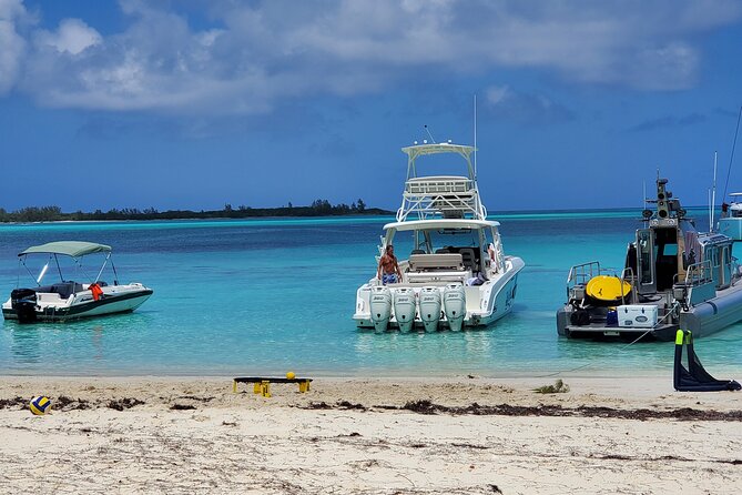 HALF DAY Swiming Pigs and Sharks Tour (Nassau to Exuma by Plane) - Why the private format matters at $4,000