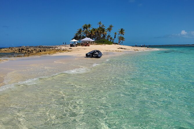 HALF DAY Swiming Pigs and Sharks Tour (Nassau to Exuma by Plane) - The schedule is full, early, and weather dependent
