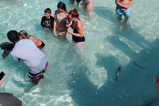 HALF DAY Swiming Pigs and Sharks Tour (Nassau to Exuma by Plane) - Swimming with the pigs at Pig Beach