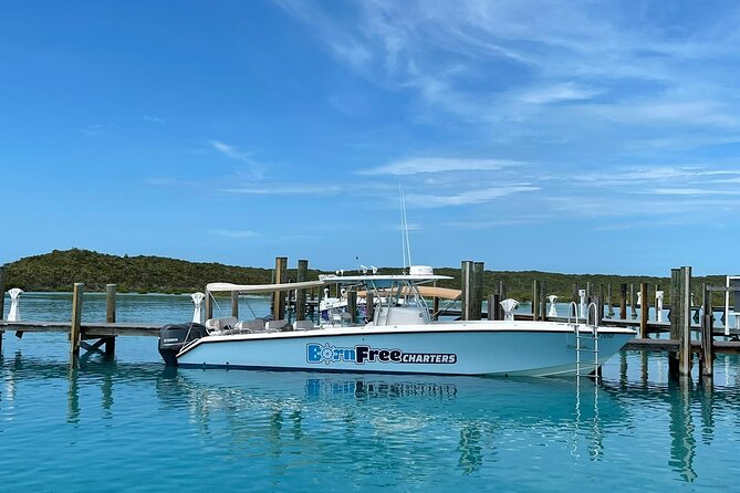 Half Day Swimming Pigs on Rose Island, Snorkeling and Lunch - A four-hour island sampler from Paradise Island