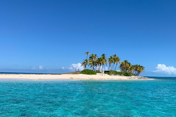 Half Day Swimming Pigs on Rose Island, Snorkeling and Lunch - Looking for sea turtles at Green Cay