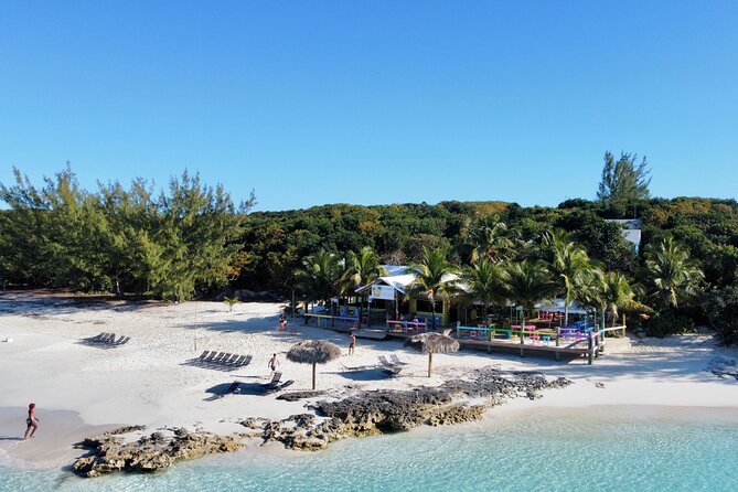 Half Day Swimming Pigs on Rose Island, Snorkeling and Lunch - The Nassau Harbour return