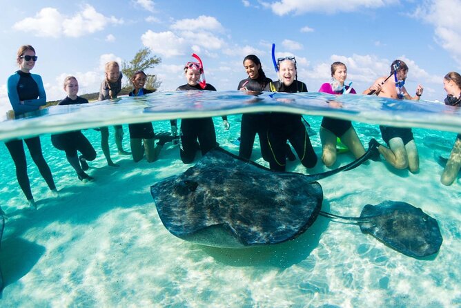 Honeymoon Harbour and The Sapona Day Trip - A four-hour route through Bimini’s clear water