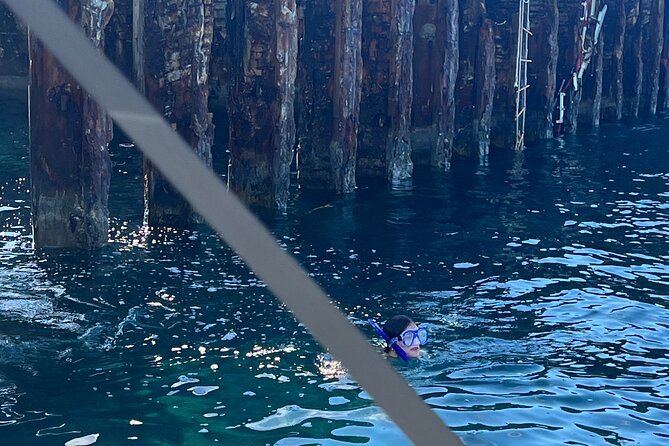 Honeymoon Harbour and The Sapona Day Trip - Weather, timing, and cancellation details